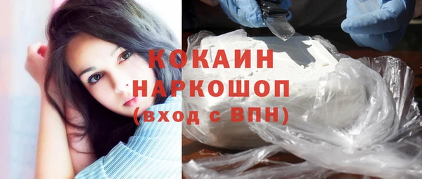 трава Корсаков