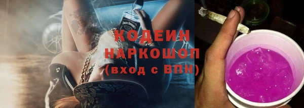 трава Корсаков