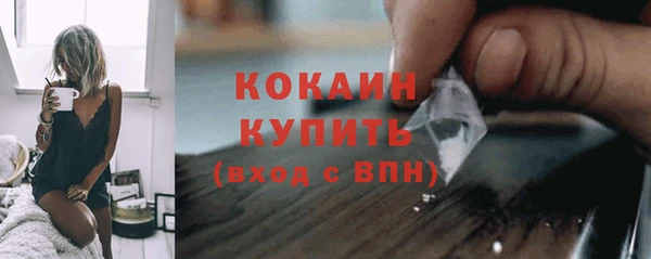 дмт Костерёво