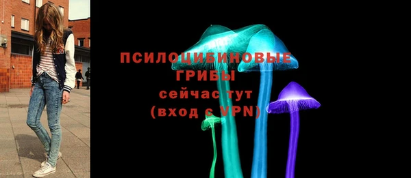 мяу мяу мука Коряжма