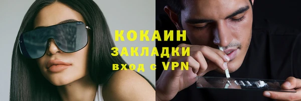 дмт Костерёво