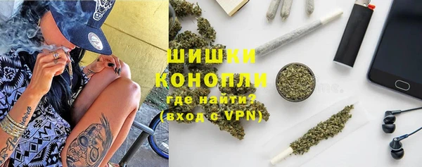 трава Корсаков