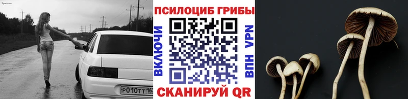 Галлюциногенные грибы мухоморы  Купить  Грязи 